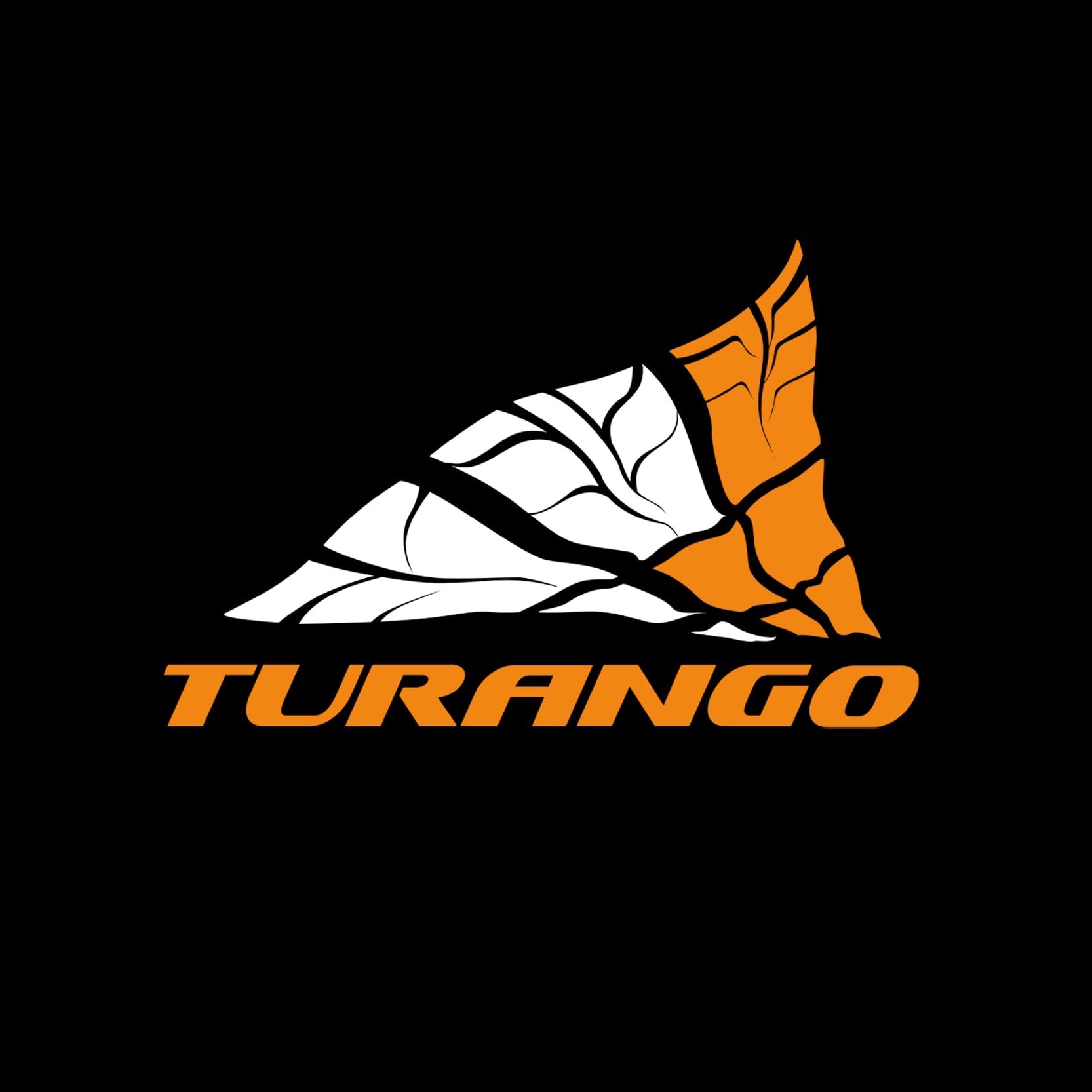 фото: логотип шинного центра "Туранго"