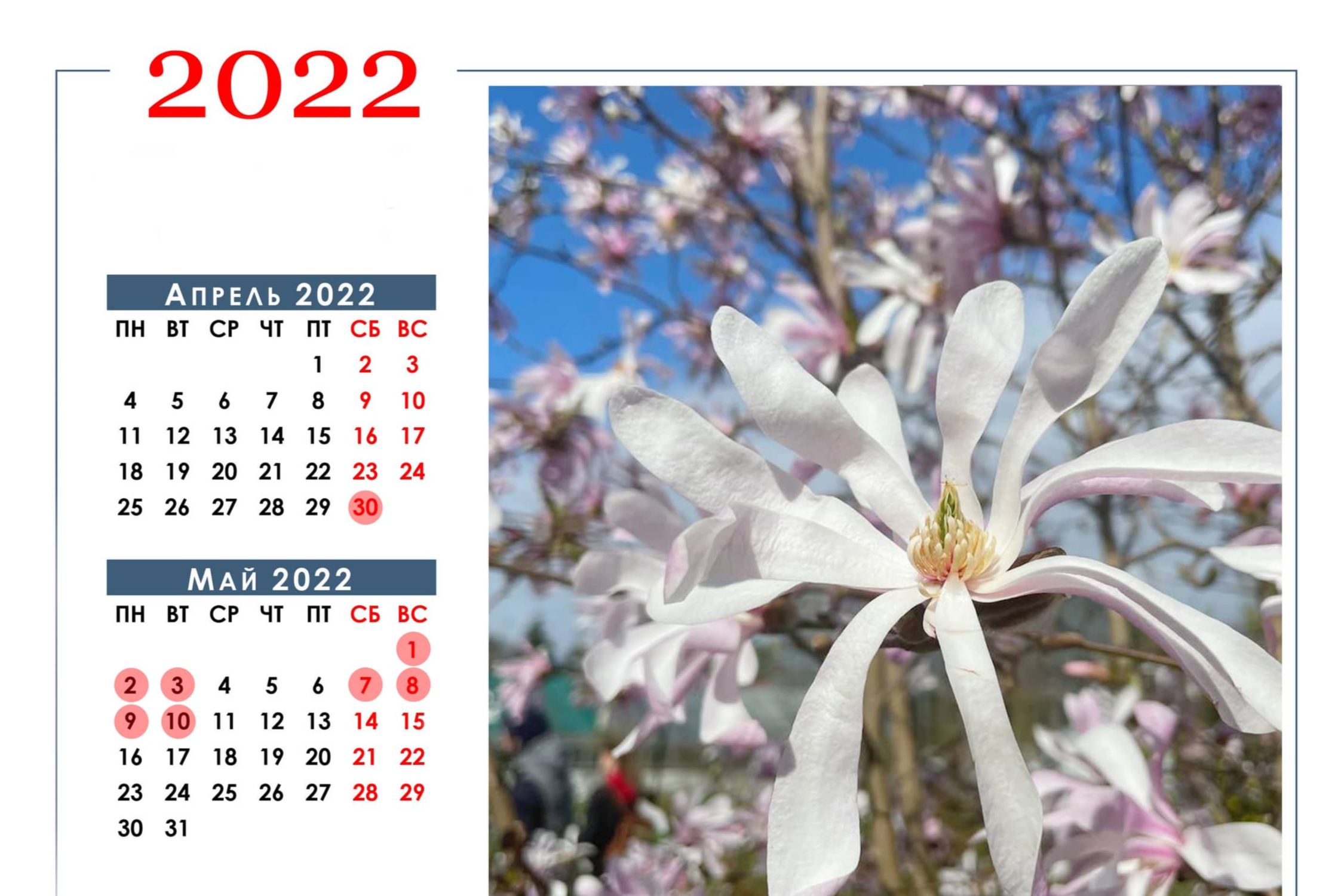 фото: календарь с отмеченными выходными днями